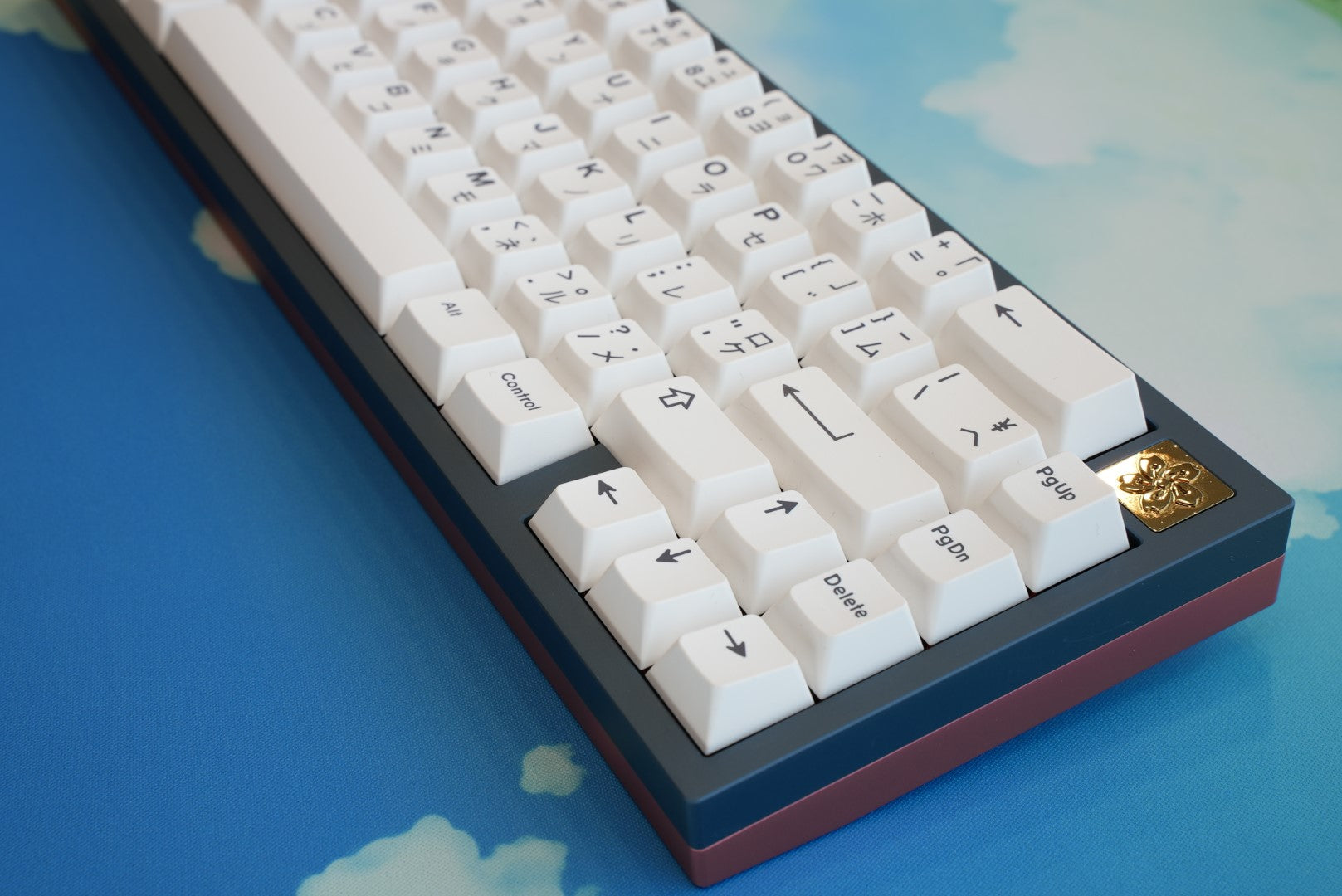 Fuji 65v2 Swirl Keyboard - Bento Box