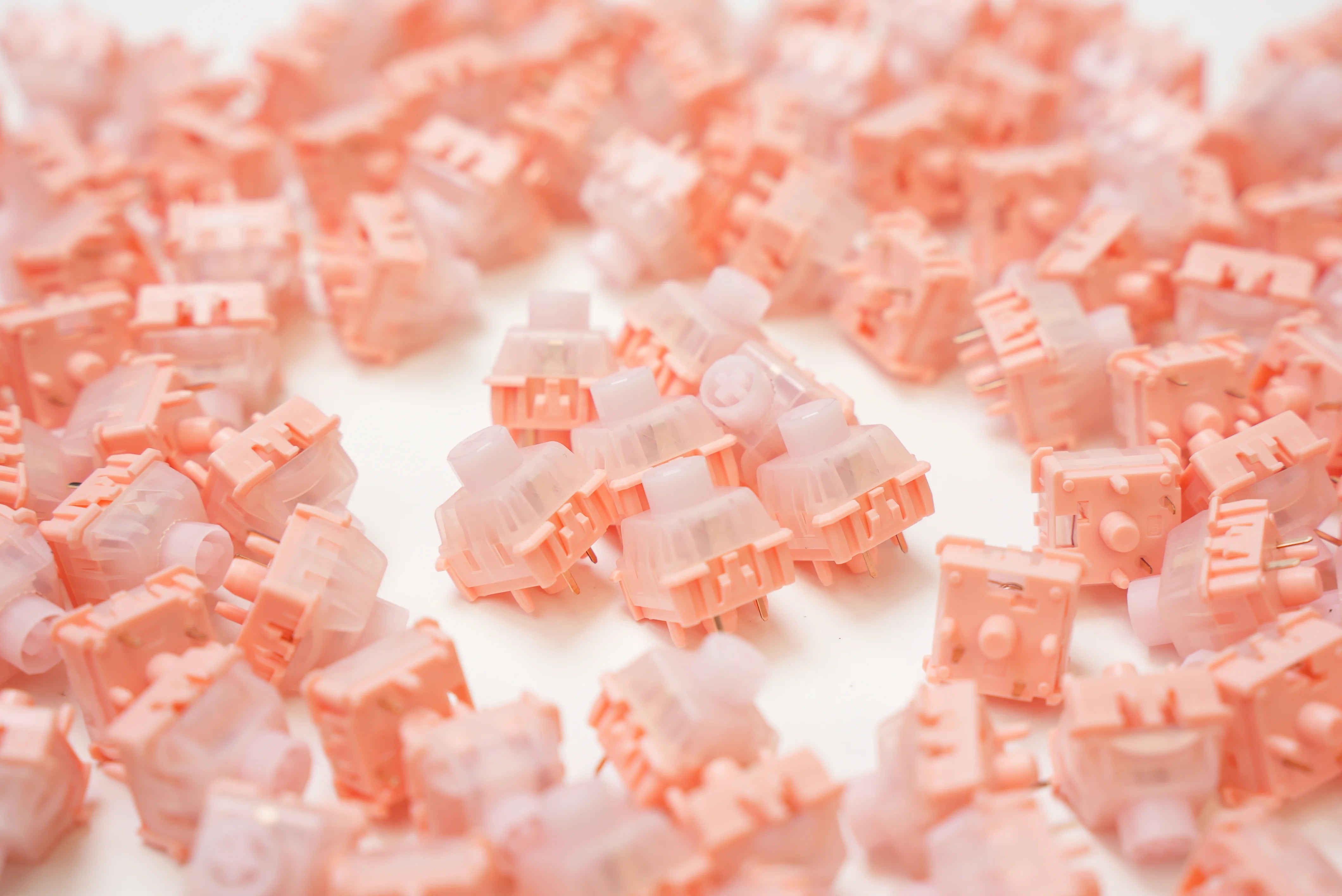 WS Big Lucky Clicky Switches