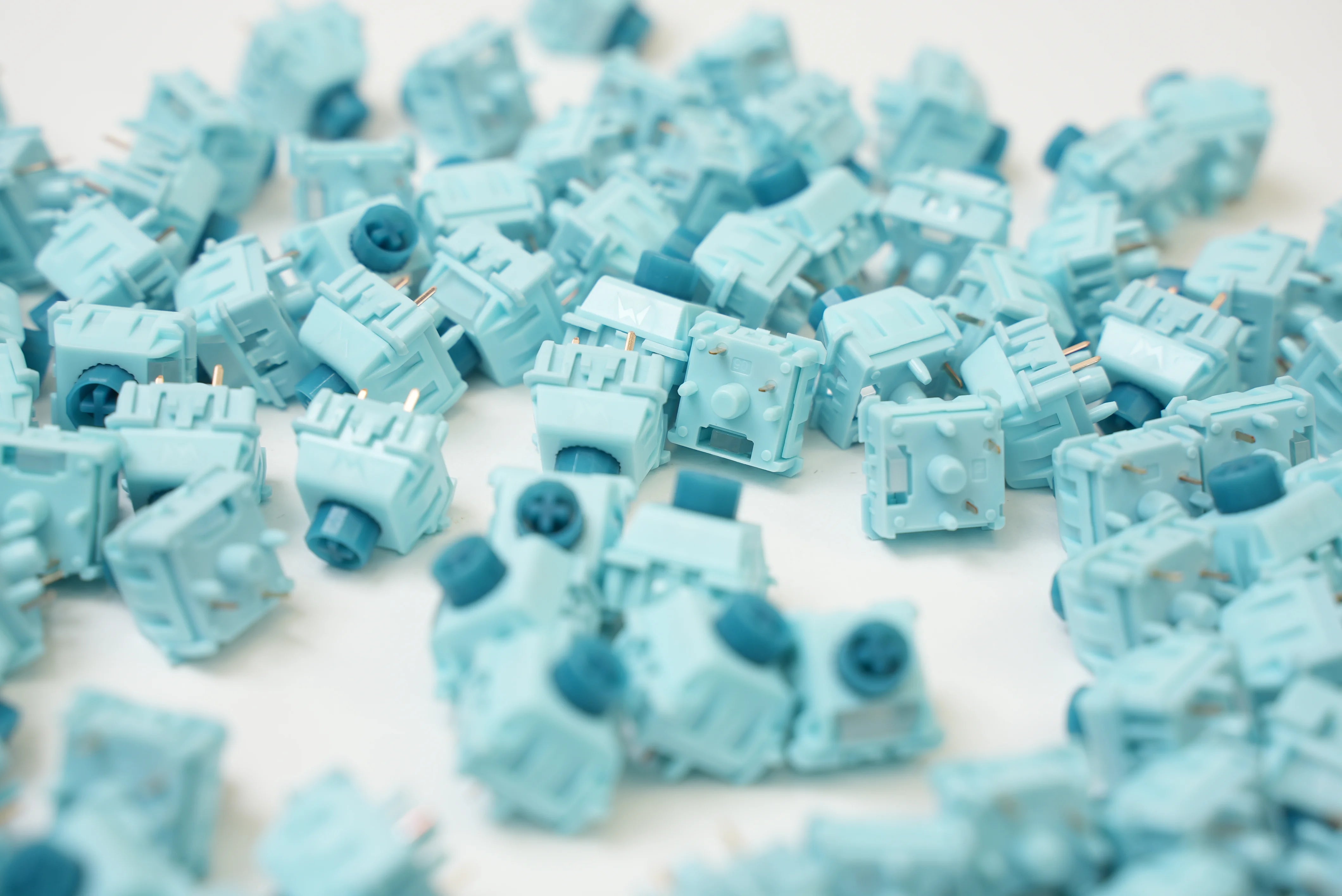 WS Big Lucky Tactile Switches