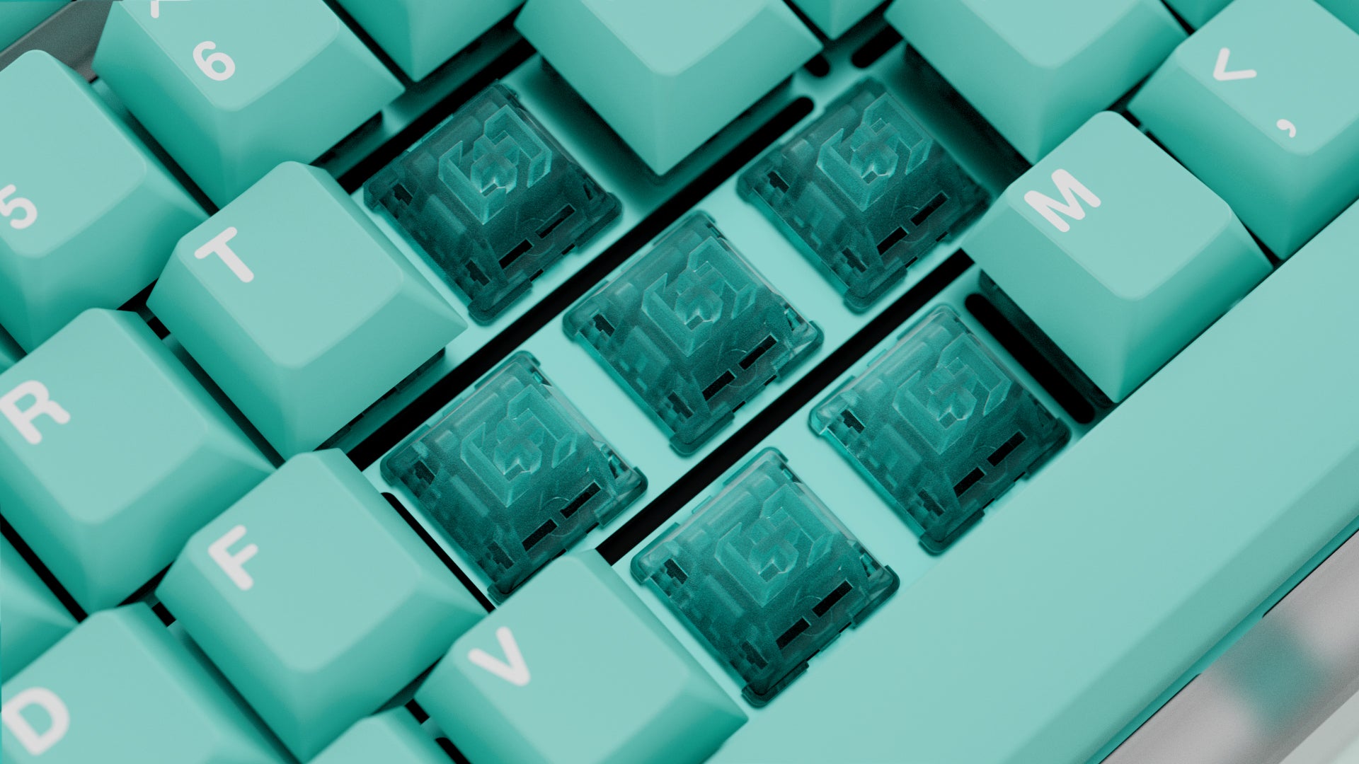 WS Akuamarin Switches