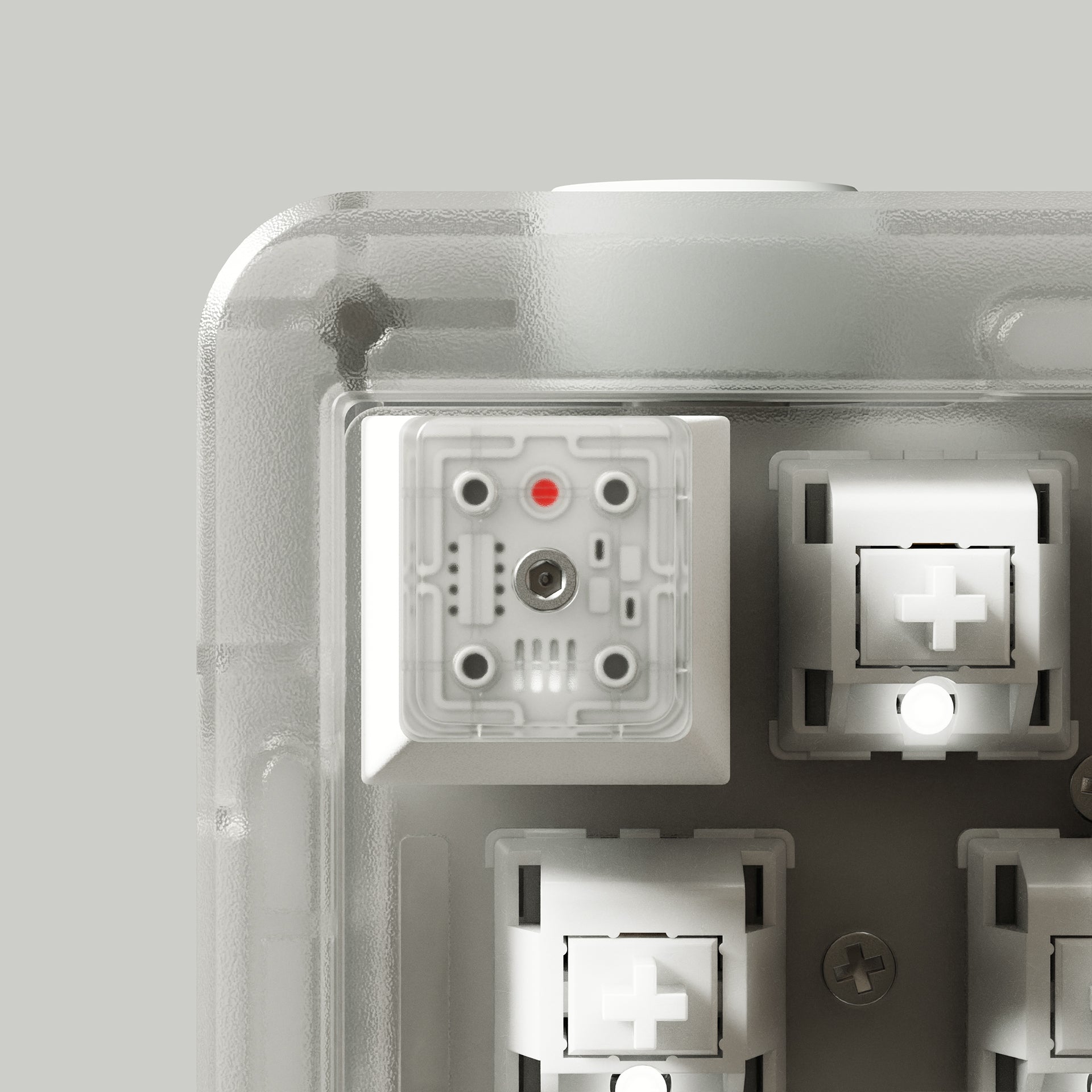 Artisan - Salvun X-Ray Keycap