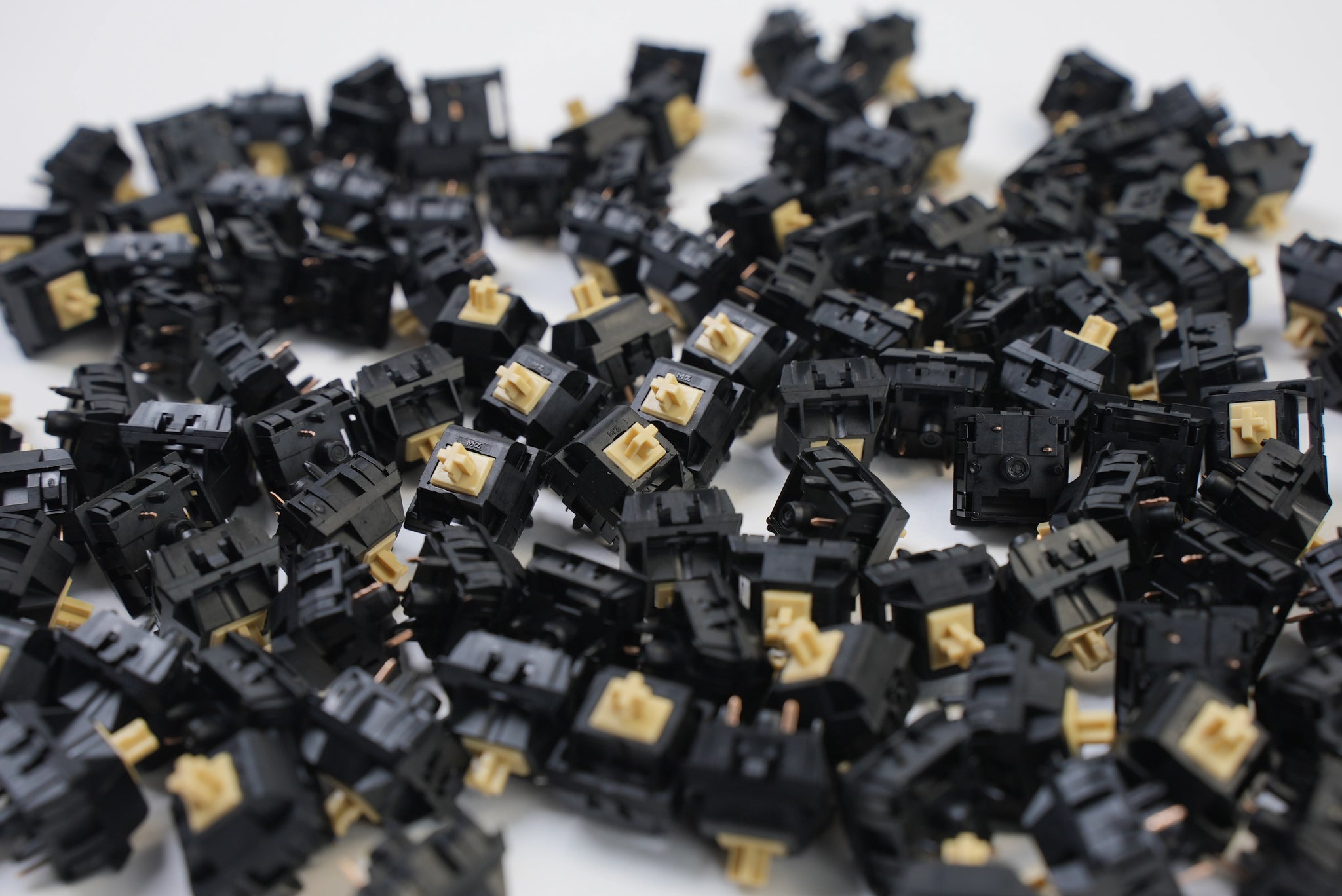 keygeeky3_0f9b27dd-b4db-4020-