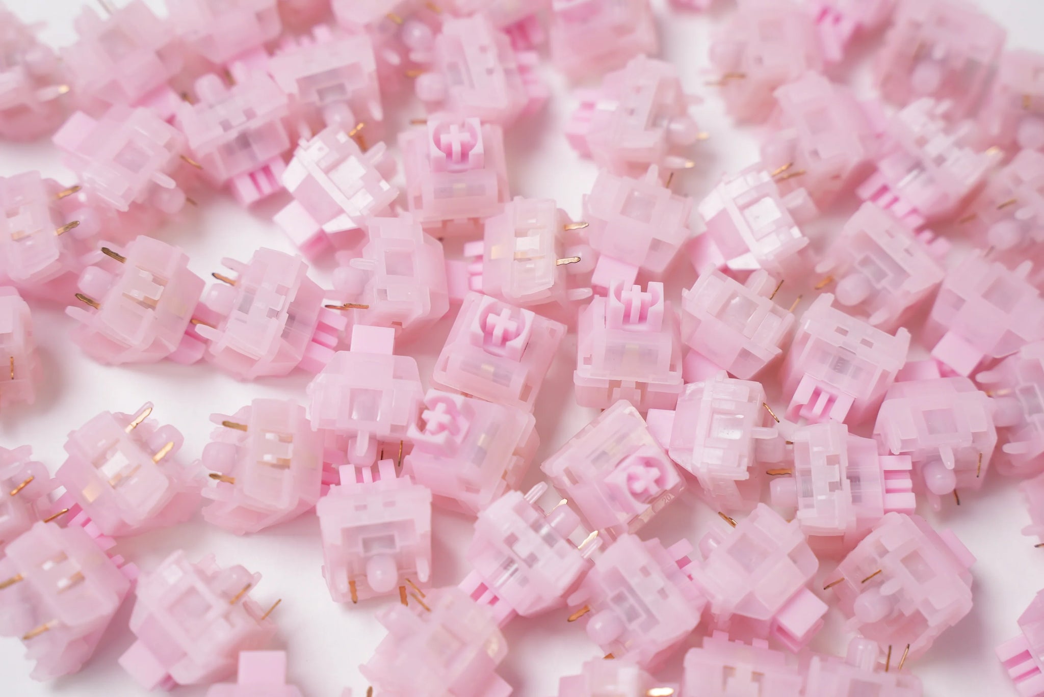 hmxsilentsakura.webp?v=