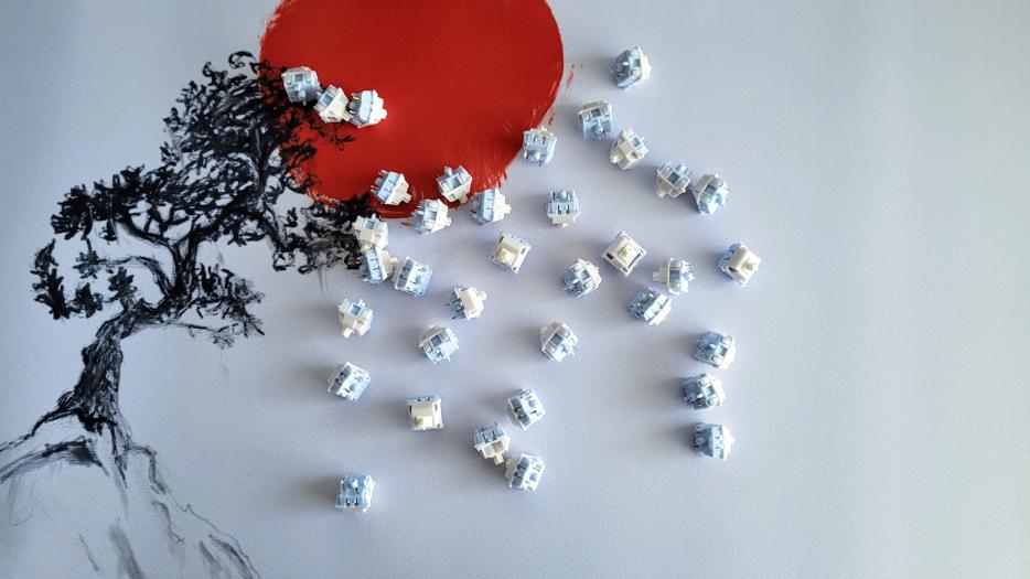 Seal Linear 78g Switch