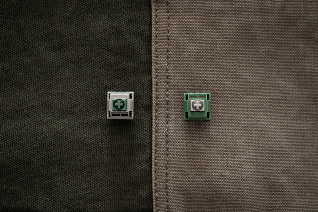TTC Wild Switch