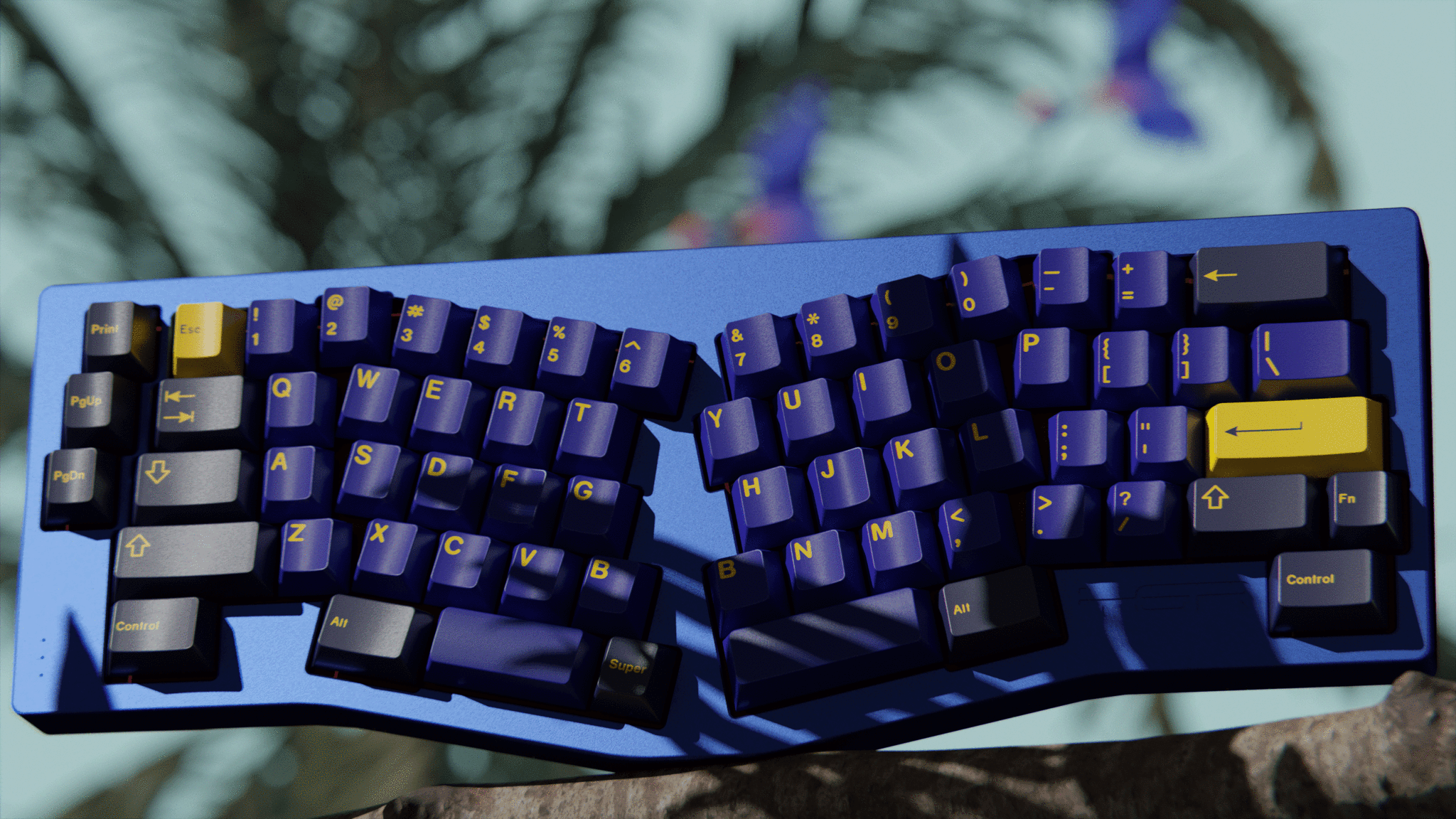 GMK Dream Bird