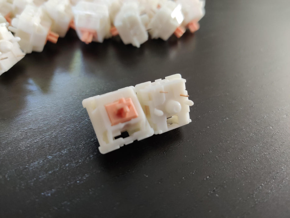 Holy Panda POM Edition - Extras