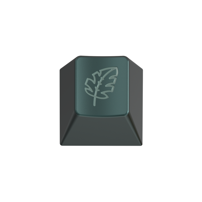RAMA Products for GMK Botanical 2