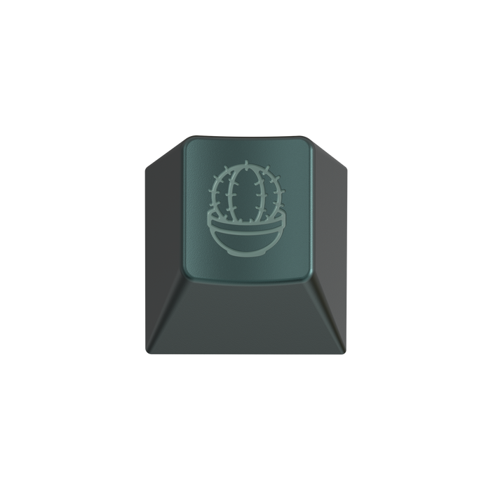 RAMA Products for GMK Botanical 2